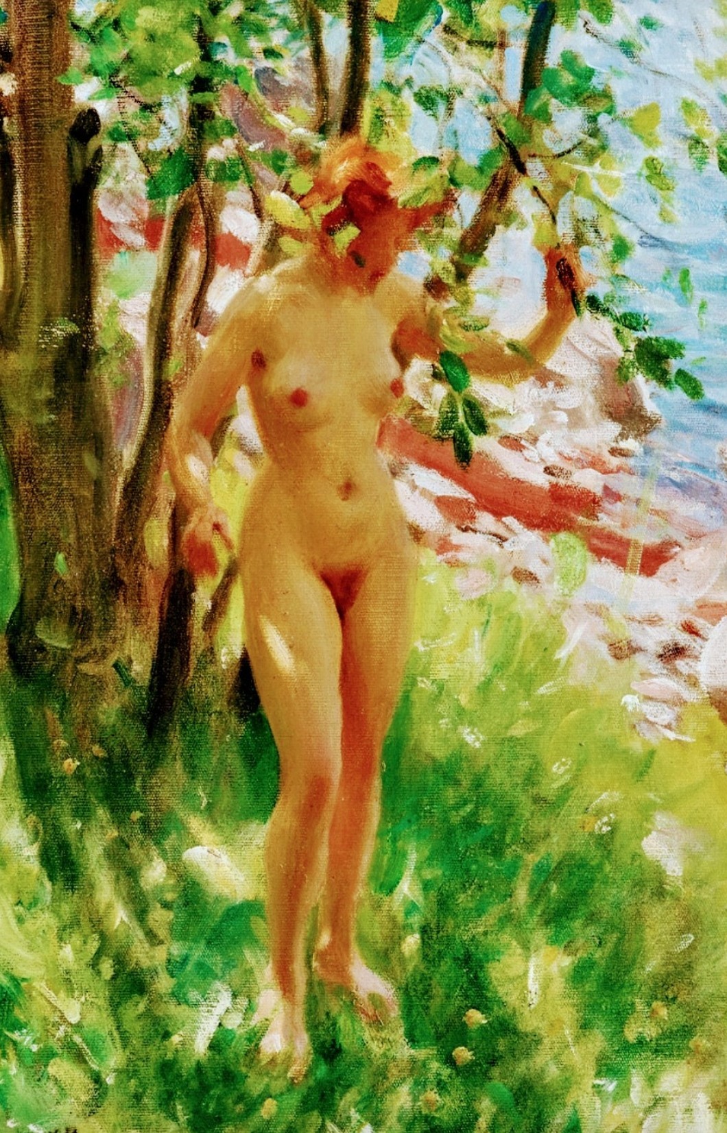 Ombra di Zorn