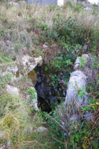 MG_6469-200x300