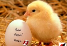 Buona Pasqua 2026